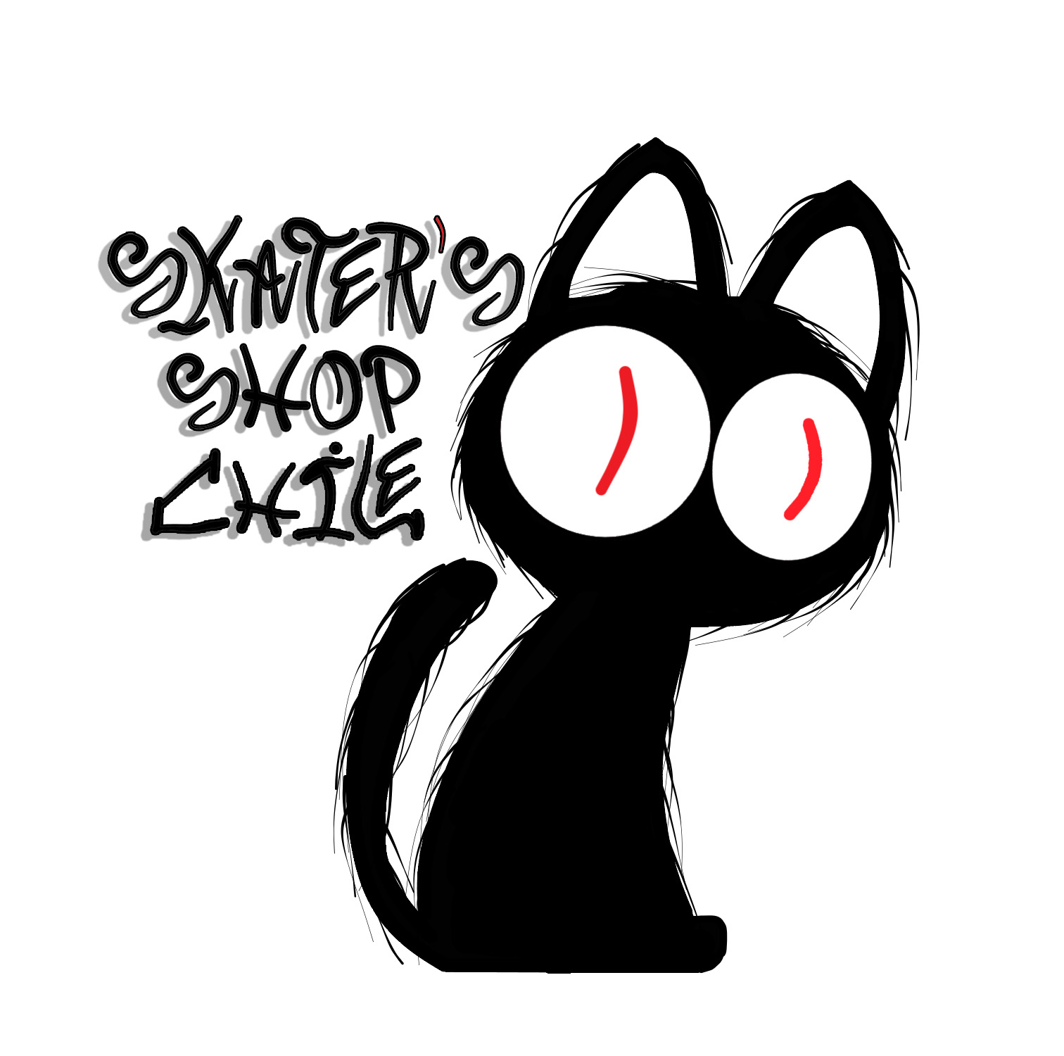 Skater´s Shop Chile