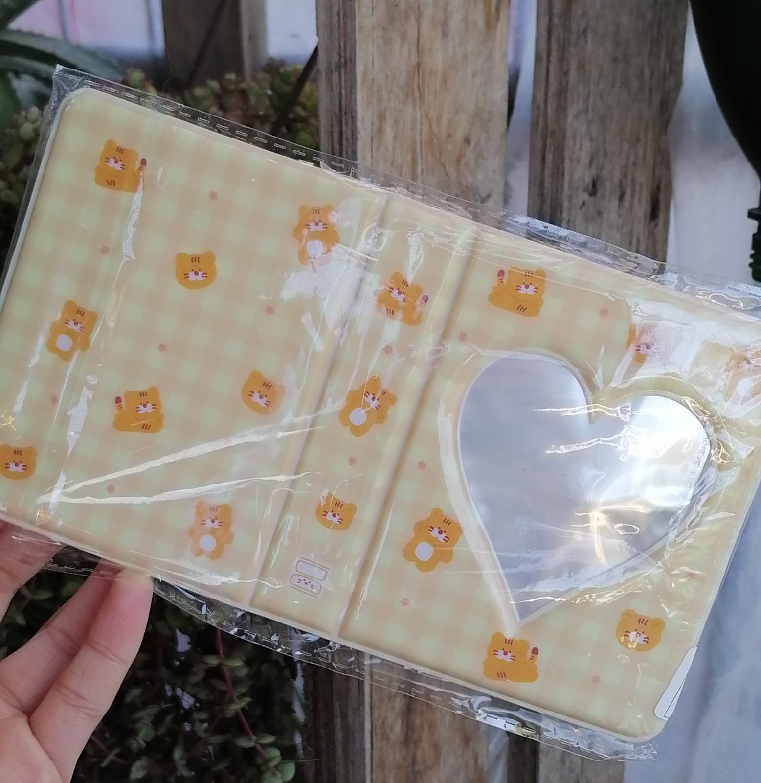 🐯 Binder photocard Tiger ⋆｡ﾟ☁︎｡⋆｡
